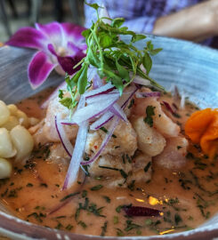 Ceviches by Divino – Peruvian Restaurant & Gastrobar